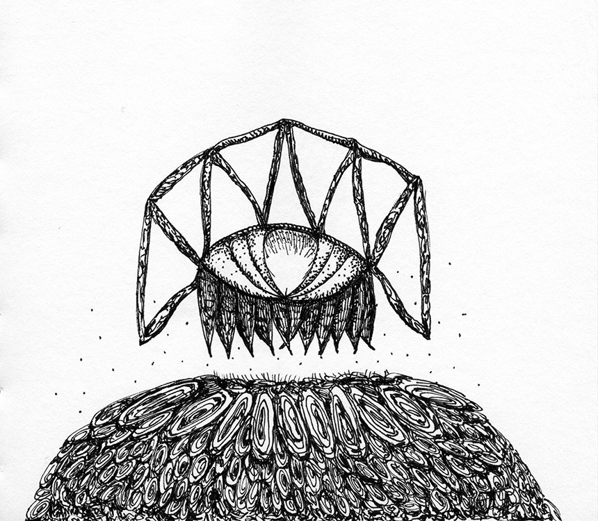 Drawing by Helen Ferry