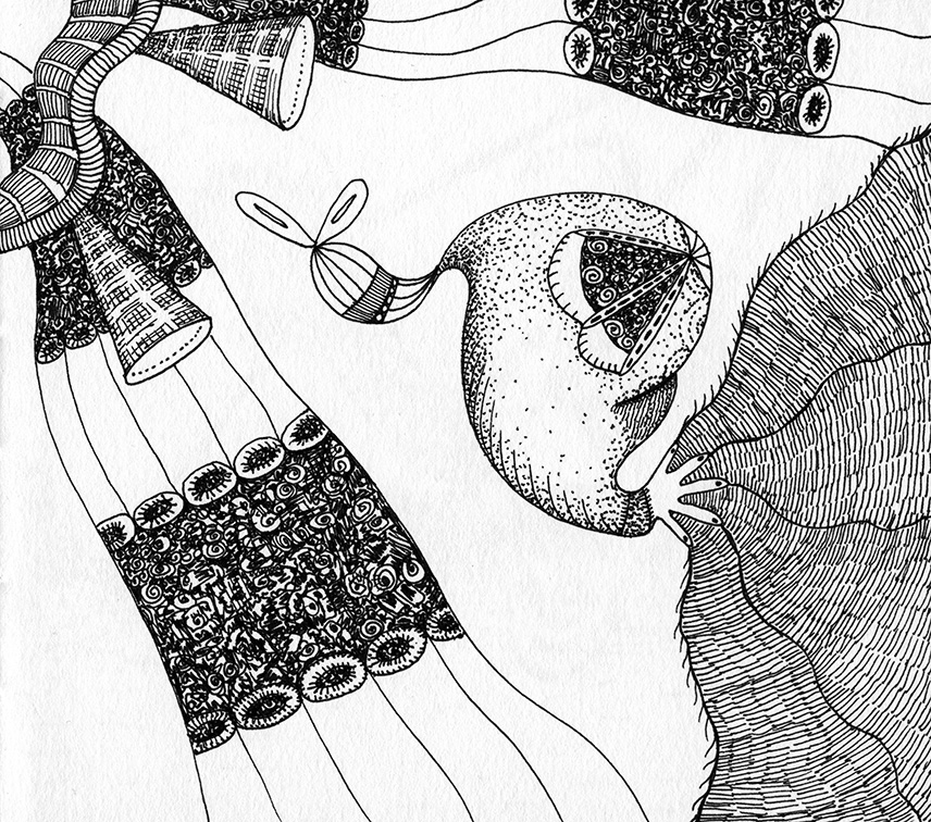 Drawing by Helen Ferry