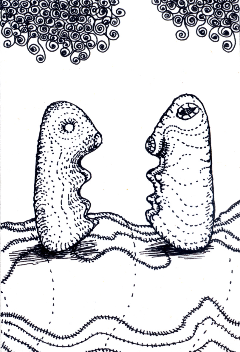Drawing by Helen Ferry