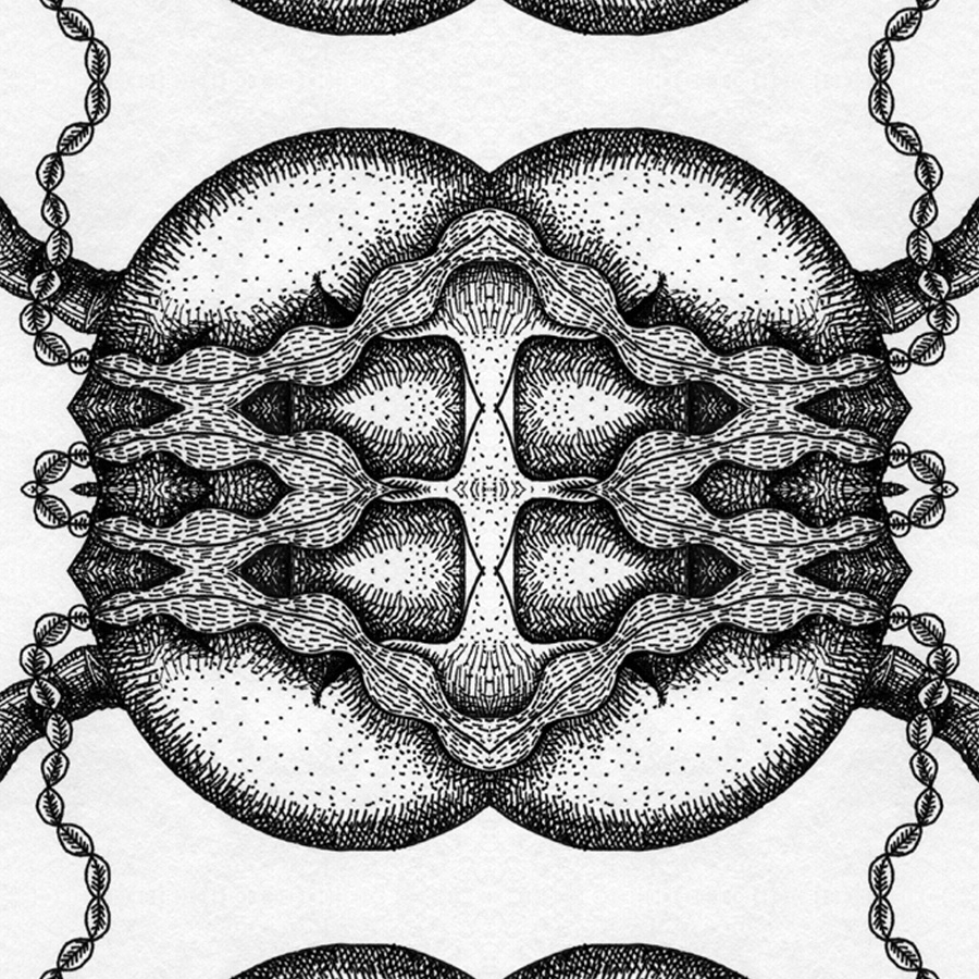 Probability Series by Helen Ferry